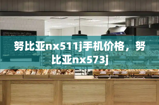 努比亚nx511j手机价格，努比亚nx573j