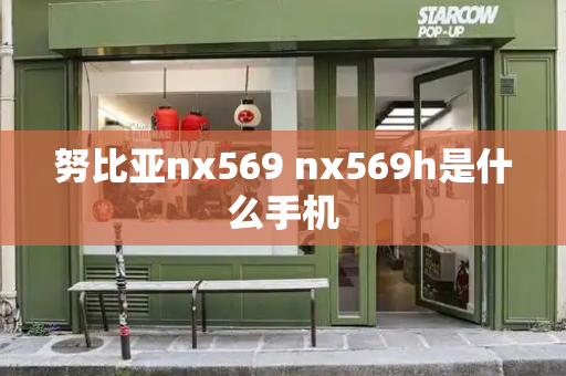 努比亚nx569 nx569h是什么手机