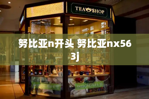 努比亚n开头 努比亚nx563j-第1张图片-星选测评