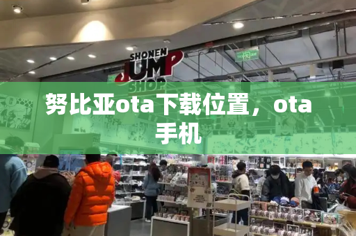努比亚ota下载位置，ota手机