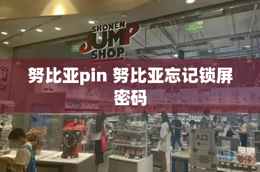 努比亚pin 努比亚忘记锁屏密码