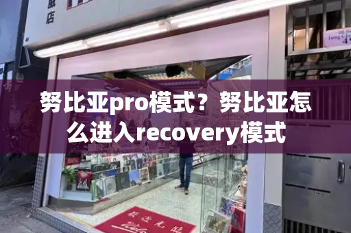 努比亚pro模式？努比亚怎么进入recovery模式