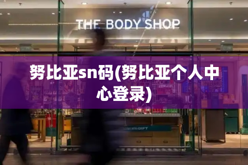 努比亚sn码(努比亚个人中心登录)