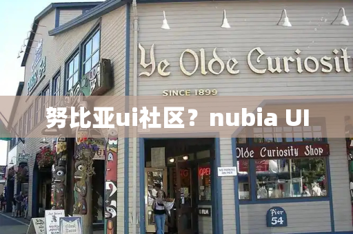 努比亚ui社区？nubia UI-第1张图片-星选测评