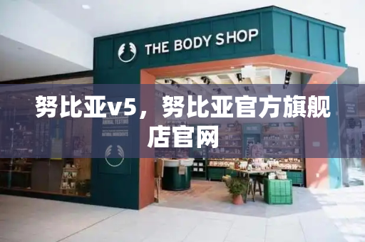 努比亚v5，努比亚官方旗舰店官网-第1张图片-星选测评