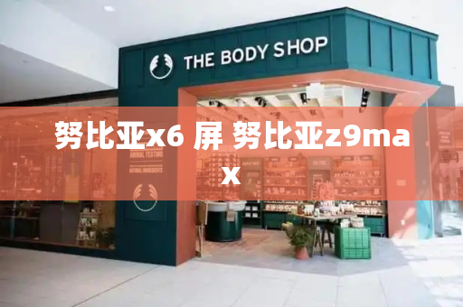 努比亚x6 屏 努比亚z9max-第1张图片-星选测评