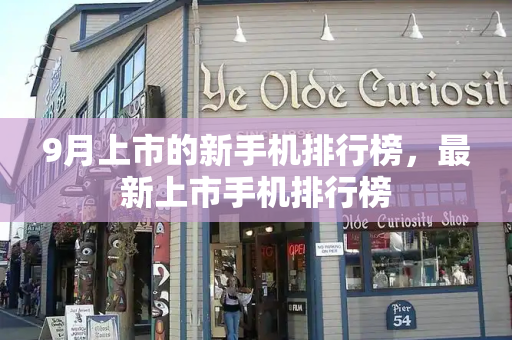 9月上市的新手机排行榜，最新上市手机排行榜-第1张图片-星选测评