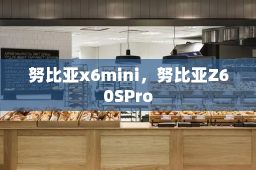 努比亚x6mini，努比亚Z60SPro