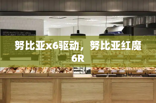 努比亚x6驱动，努比亚红魔6R-第1张图片-星选测评