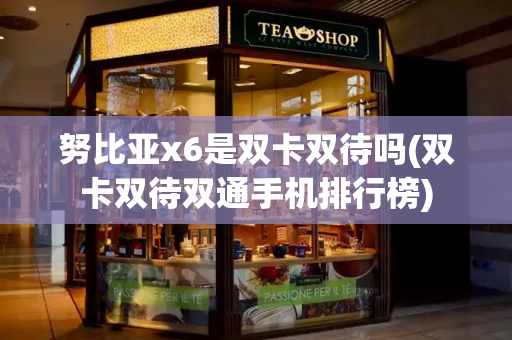 努比亚x6是双卡双待吗(双卡双待双通手机排行榜)-第1张图片-星选测评