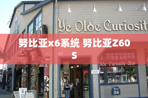 努比亚x6系统 努比亚Z60S-第1张图片-星选测评