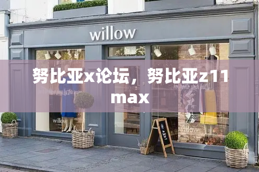 努比亚x论坛，努比亚z11max-第1张图片-星选测评