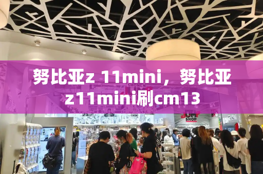 努比亚z 11mini，努比亚z11mini刷cm13-第1张图片-星选测评