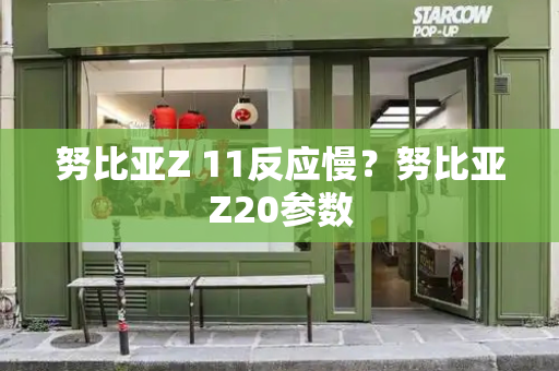 努比亚Z 11反应慢？努比亚Z20参数