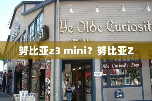 努比亚z3 mini？努比亚Z