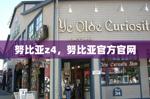 努比亚z4，努比亚官方官网