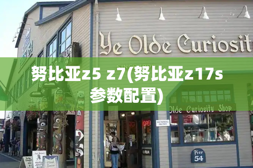努比亚z5 z7(努比亚z17s参数配置)-第1张图片-星选测评