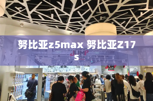 努比亚z5max 努比亚Z17s
