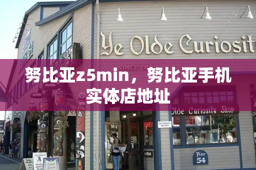 努比亚z5min，努比亚手机实体店地址