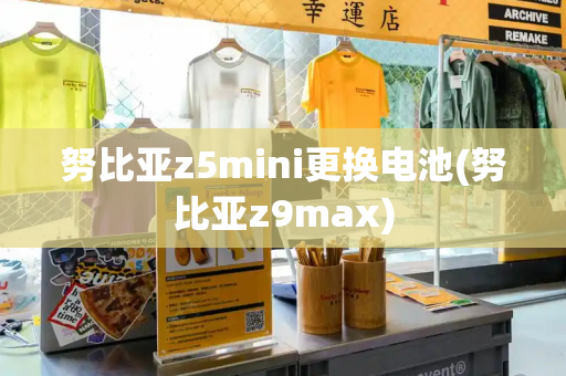 努比亚z5mini更换电池(努比亚z9max)-第1张图片-星选测评