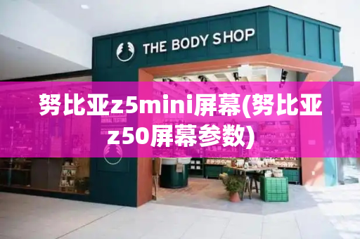努比亚z5mini屏幕(努比亚z50屏幕参数)-第1张图片-星选测评