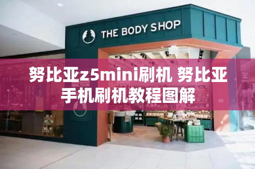 努比亚z5mini刷机 努比亚手机刷机教程图解