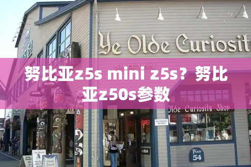 努比亚z5s mini z5s？努比亚z50s参数-第1张图片-星选测评