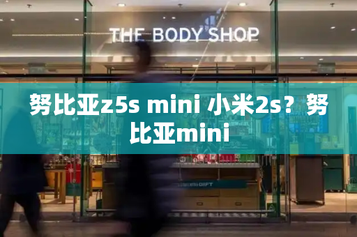 努比亚z5s mini 小米2s？努比亚mini