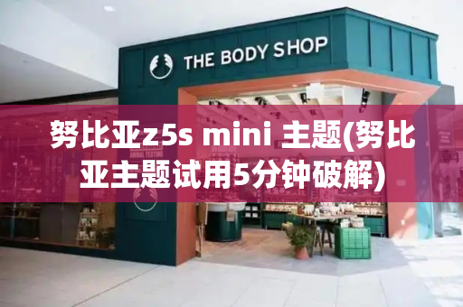 努比亚z5s mini 主题(努比亚主题试用5分钟破解)-第1张图片-星选测评