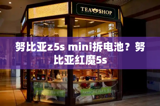 努比亚z5s mini拆电池？努比亚红魔5s-第1张图片-星选测评