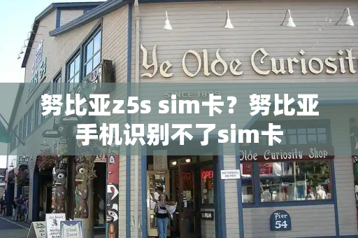 努比亚z5s sim卡？努比亚手机识别不了sim卡-第1张图片-星选测评