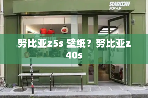 努比亚z5s 壁纸？努比亚z40s