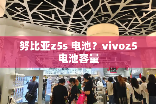 努比亚z5s 电池？vivoz5电池容量