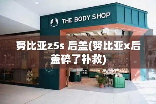 努比亚z5s 后盖(努比亚x后盖碎了补救)