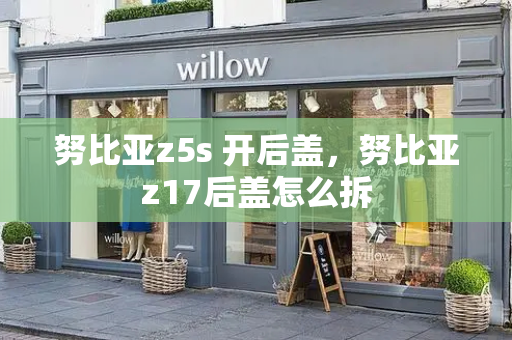 努比亚z5s 开后盖，努比亚z17后盖怎么拆-第1张图片-星选测评