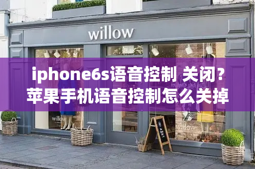 iphone6s语音控制 关闭？苹果手机语音控制怎么关掉-第1张图片-星选测评