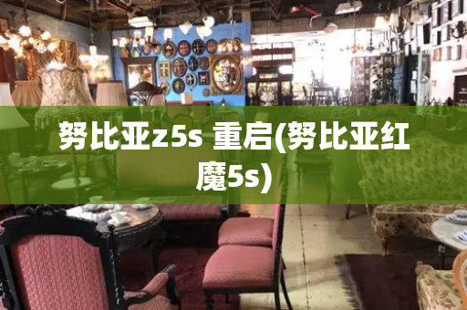 努比亚z5s 重启(努比亚红魔5s)