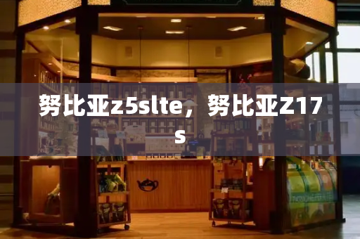 努比亚z5slte，努比亚Z17s-第1张图片-星选测评