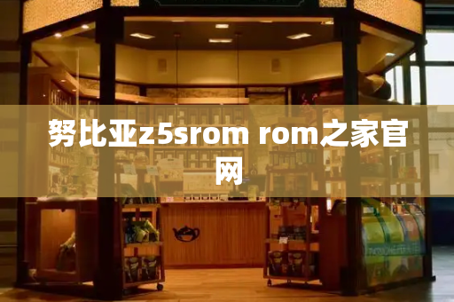 努比亚z5srom rom之家官网-第1张图片-星选测评