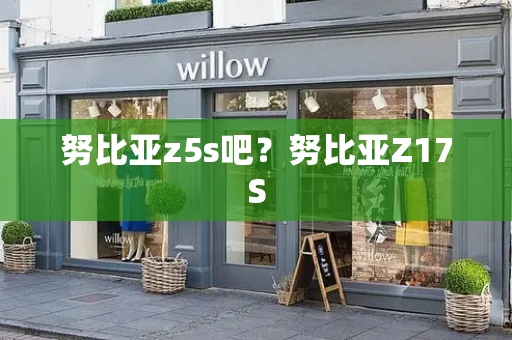 努比亚z5s吧？努比亚Z17S