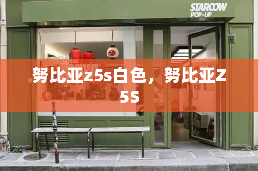 努比亚z5s白色，努比亚Z5S-第1张图片-星选测评