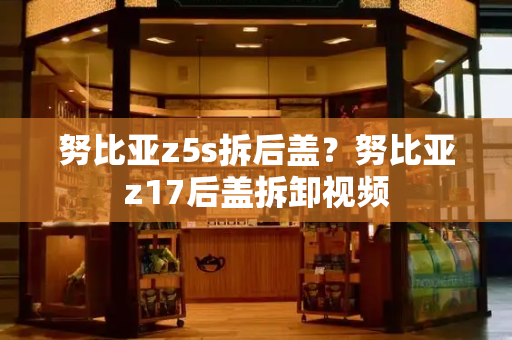 努比亚z5s拆后盖？努比亚z17后盖拆卸视频-第1张图片-星选测评