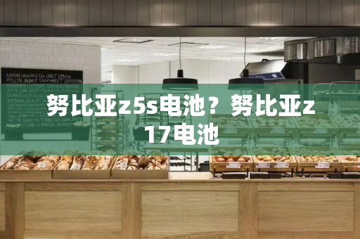 努比亚z5s电池？努比亚z17电池