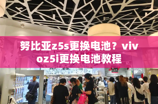 努比亚z5s更换电池？vivoz5i更换电池教程