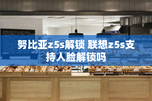 努比亚z5s解锁 联想z5s支持人脸解锁吗