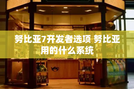 努比亚7开发者选项 努比亚用的什么系统