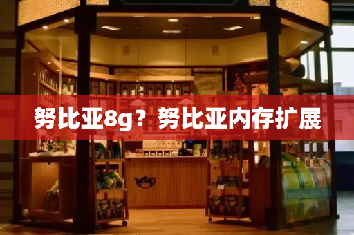 努比亚8g？努比亚内存扩展-第1张图片-星选测评