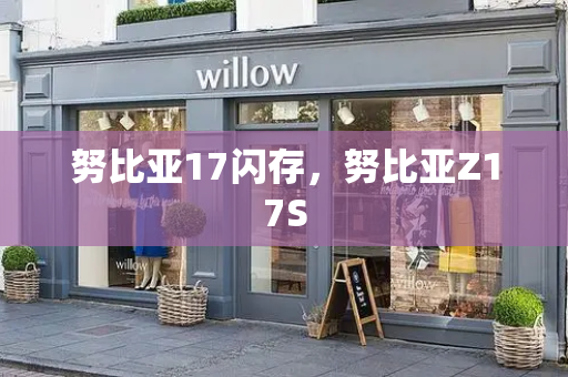 努比亚17闪存，努比亚Z17S