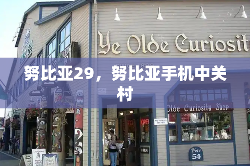 努比亚29，努比亚手机中关村-第1张图片-星选测评