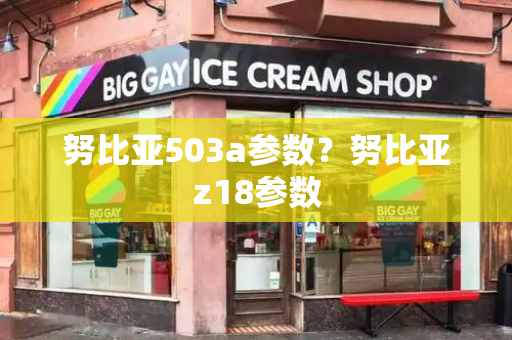 努比亚503a参数？努比亚z18参数-第1张图片-星选测评